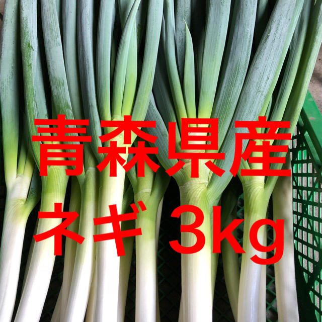 青森県産長ネギ 白ネギ 3kgの通販 By グリトムア S Shop ラクマ