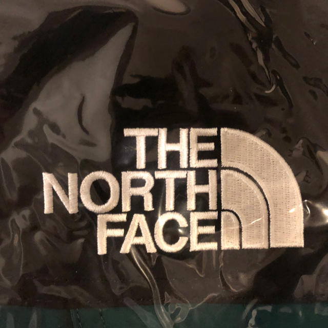 THE NORTH FACE(ザノースフェイス)の希少S 送料込 NORTH FACE MOUNTAIN LIGHT JKT BD メンズのジャケット/アウター(マウンテンパーカー)の商品写真