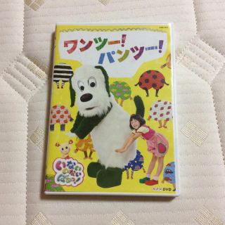 コロンビア(Columbia)のワンツー！パンツー！いないいないばあっ！DVD(キッズ/ファミリー)