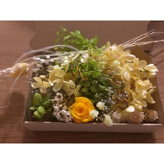 ドライフラワー花材 イエロー(ドライフラワー)