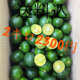 もぎたてシークワーサー2キロ2300円(フルーツ)