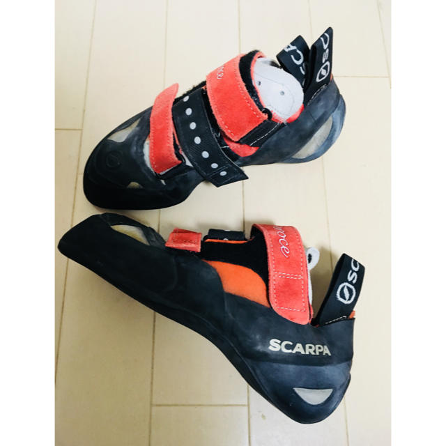 SCARPA(スカルパ)のSCARPA Feroce ボルダリングシューズ 37 1/2（EU） スポーツ/アウトドアのアウトドア(登山用品)の商品写真