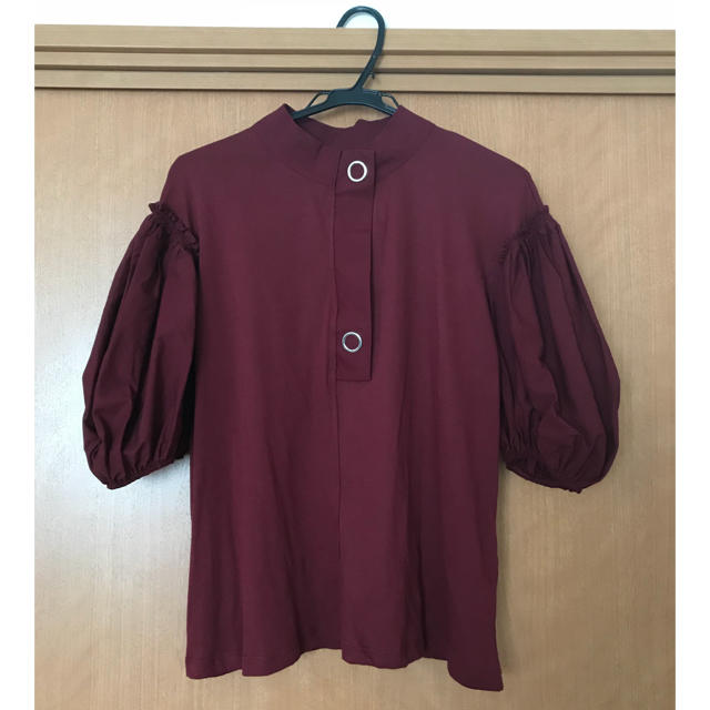 ZARA(ザラ)のZARA 牡丹色 トップス レディースのトップス(カットソー(半袖/袖なし))の商品写真