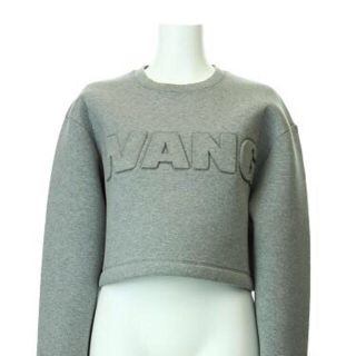 アレキサンダーワン(Alexander Wang)の新品！AlexanderWang×H&M(トレーナー/スウェット)