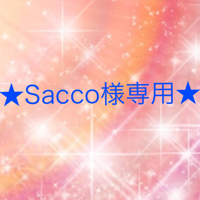 Wacoal(ワコール)のSacco様専用 その他のその他(その他)の商品写真