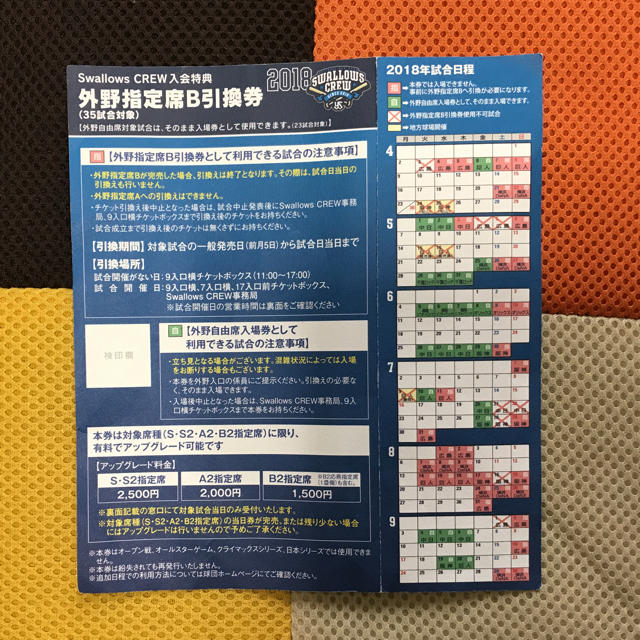 東京ヤクルトスワローズ(トウキョウヤクルトスワローズ)の神宮 ヤクルト 外野指定席B引換券 チケットのスポーツ(野球)の商品写真