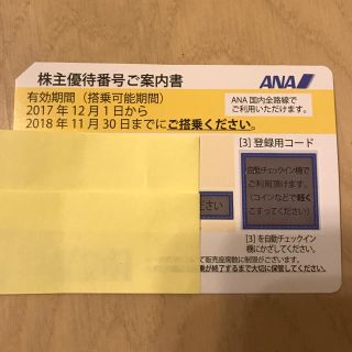 エーエヌエー(ゼンニッポンクウユ)(ANA(全日本空輸))のANA株主優待券 RIRII様専用(その他)