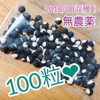 フウセンカズラ 種 100粒 無農薬(その他)