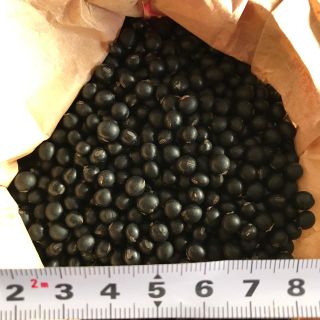 北海道産 黒千石豆 300g(野菜)