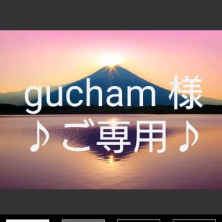 ディズニー(Disney)のgucham様♪ご専用♪(各種パーツ)