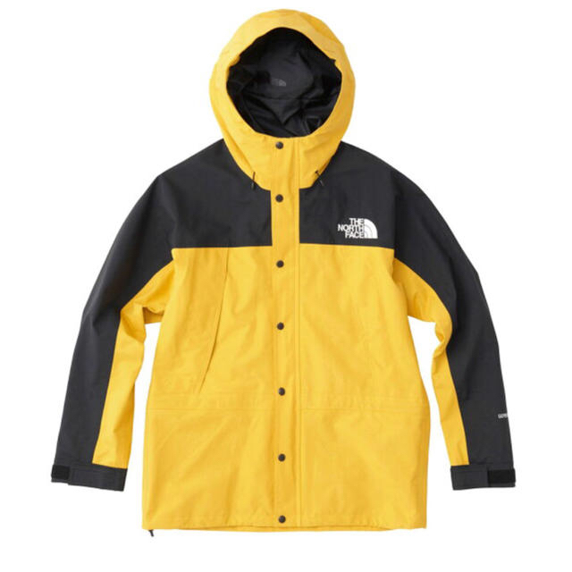 THE NORTH FACE(ザノースフェイス)のTHE NORTH FACE MOUNTAIN LIGHT  メンズのジャケット/アウター(マウンテンパーカー)の商品写真