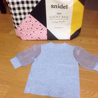 スナイデル(SNIDEL)の袖オーガンジーニット(カットソー(半袖/袖なし))