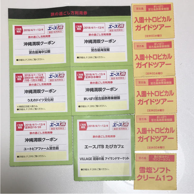 沖縄 クーポン 宮古島 チケットの施設利用券(遊園地/テーマパーク)の商品写真