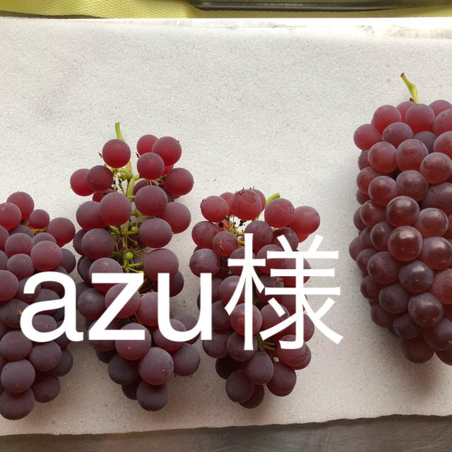 azu様 デラウェア規格外2キロ 食品/飲料/酒の食品(フルーツ)の商品写真