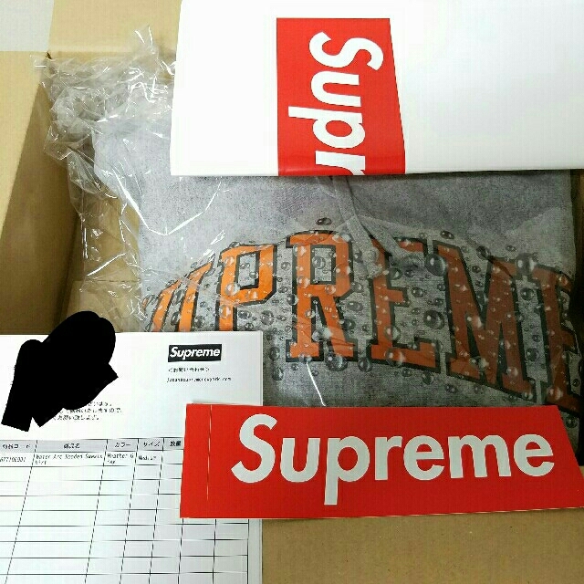 Supreme(シュプリーム)のSupreme water arc hooded sweatshirt メンズのトップス(パーカー)の商品写真