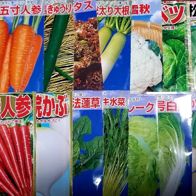 秋植え野菜の種 10袋の通販 By りー S Shop ラクマ