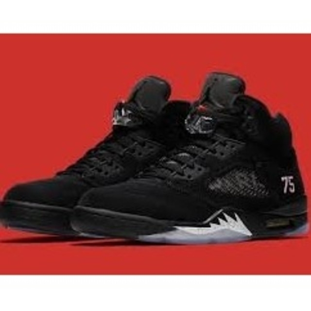 Air Jordan5 PSG