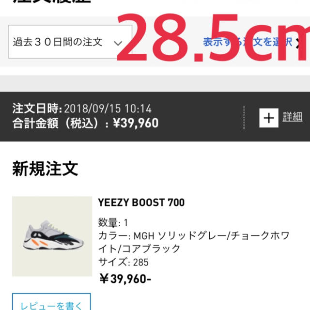 Adidas Yeezy 700 アディダス yeezy boost 700