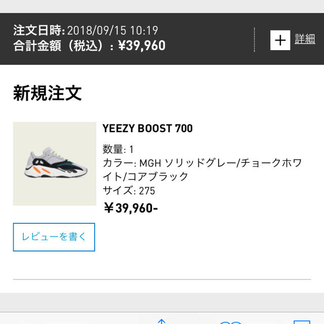 Yeezy 700