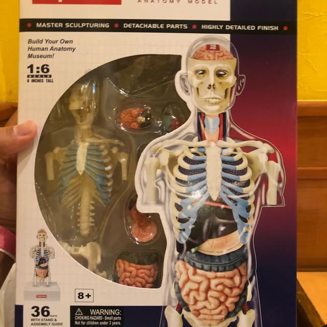 希少!!】 18AW supreme anatomy 人体模型 アナトミー シュプリーム ...