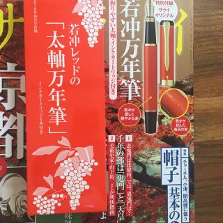 サライ 10月号 付録 太軸万年筆(ペン/マーカー)