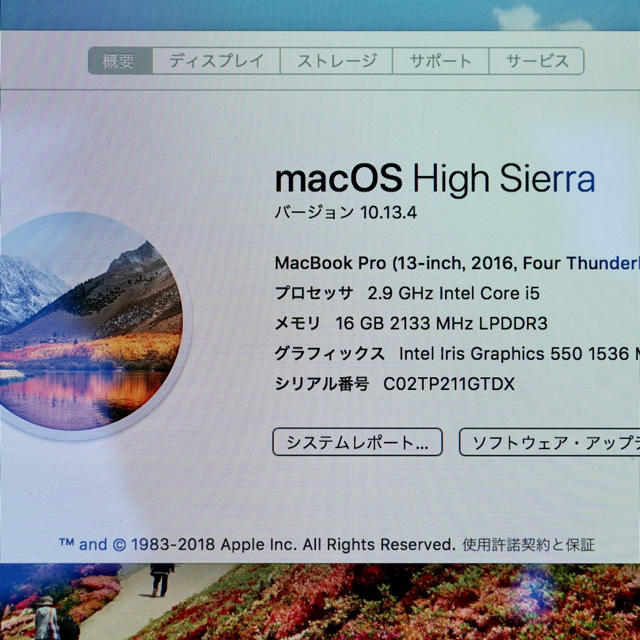 13.3 Macbook Pro 2.9GHz i5  スペースグレイ 値下げ