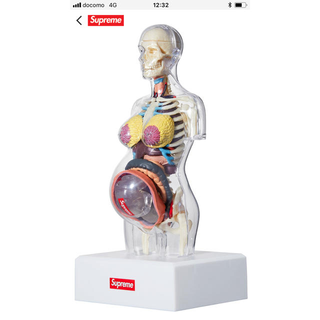 Supreme(シュプリーム)のFemale Anatomy Model  メンズのアクセサリー(その他)の商品写真