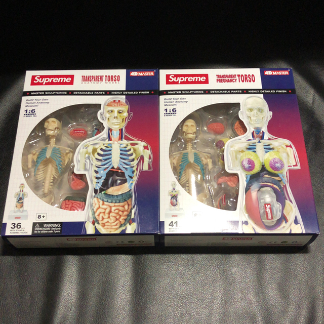 Supreme Male & Female Anatomy Model Set