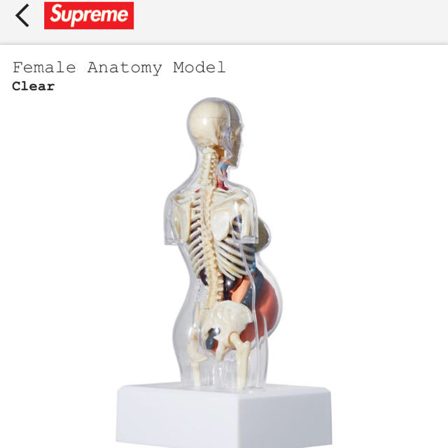supreme 人体模型