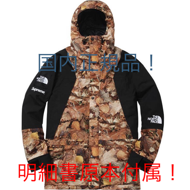 専用 Supreme The North Face Mountain Light