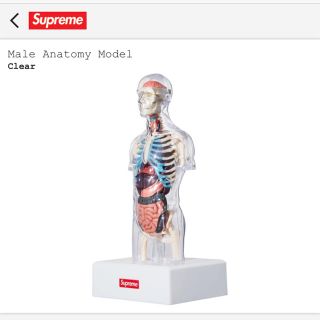 シュプリーム(Supreme)のsupreme transparent torso 2体セット(その他)