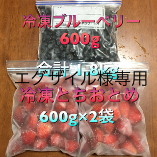 エグザイル様専用  冷凍 とちおとめ & 冷凍 ブルーベリー(フルーツ)