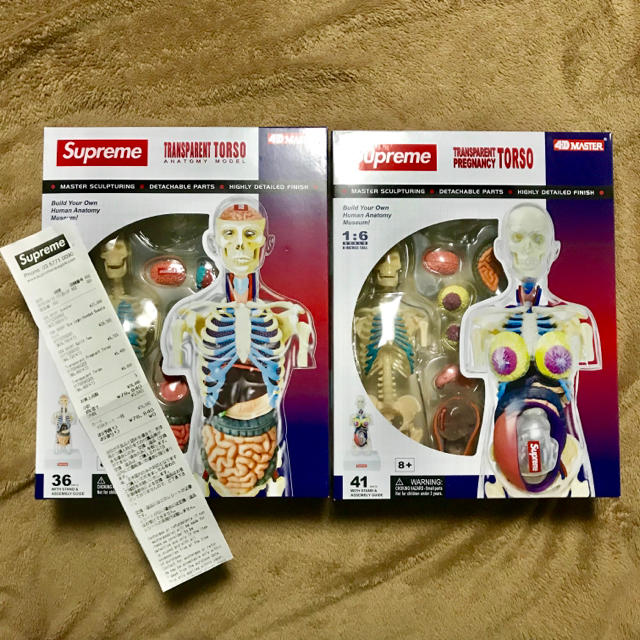 supreme Anatomy Model 人体模型 2体セット supreme Anatomy Model 人体模型 2体セット