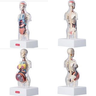 Supreme - supreme Anatomy Model 人体模型 2体セットの通販 by