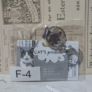 フェリシモ(FELISSIMO)のフェリシモ 猫部 みんなのくじ(日用品/生活雑貨)