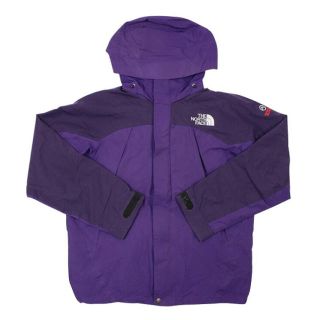 ザノースフェイス(THE NORTH FACE)のTHE NORTH FACE 廃盤 マウンテンジャケット Lサイズ(マウンテンパーカー)