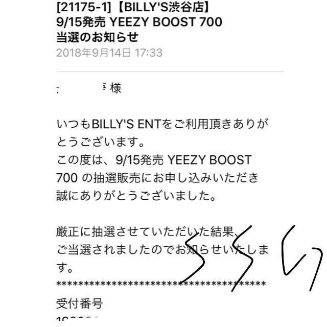 adidas(アディダス)のYEEZY BOOST 700  メンズの靴/シューズ(スニーカー)の商品写真