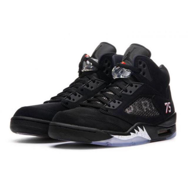 air Jordan 5 パリ・サンジェルマン