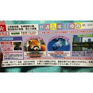 無料入場券 上野・多摩 動物園、葛西臨海水族園、都立9庭園(動物園)