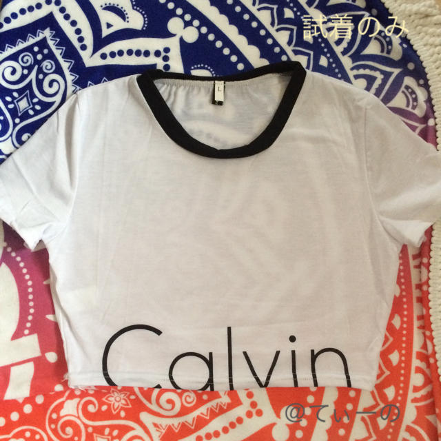 Calvin Klein(カルバンクライン)の【カルバンクラインモチーフ】クロップド丈Tシャツ【試着のみ】 レディースのトップス(Tシャツ(半袖/袖なし))の商品写真