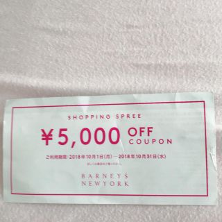 バーニーズニューヨーク(BARNEYS NEW YORK)のバーニーズニューヨーク 5000円OFFクーポン(ショッピング)