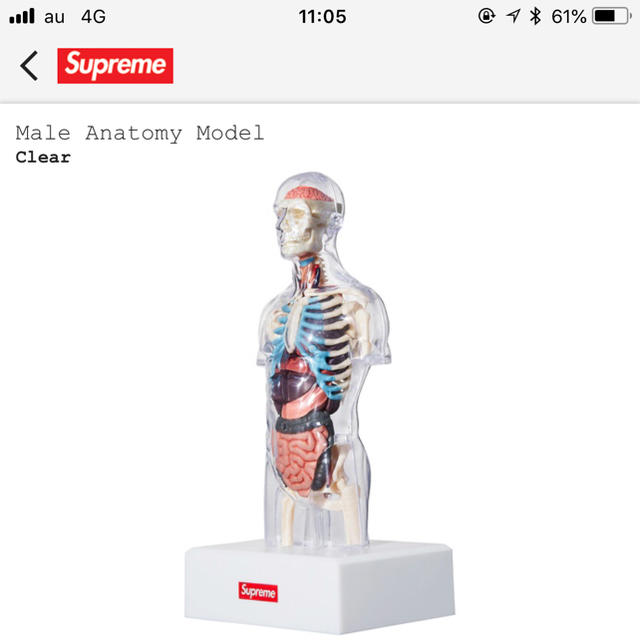 Supreme - supreme 人体模型 ギャルソン
