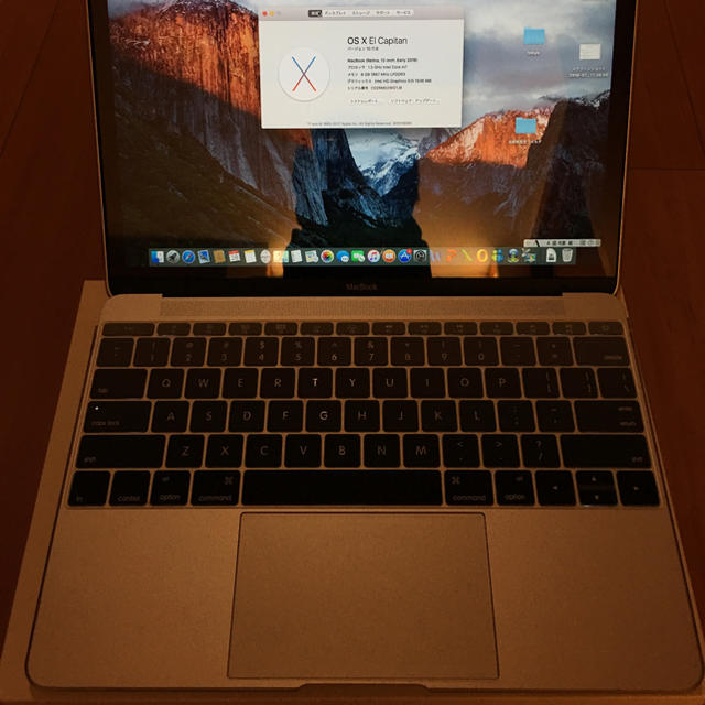 MacBook 12 2016Early 1.3 m7 8GB 512GB