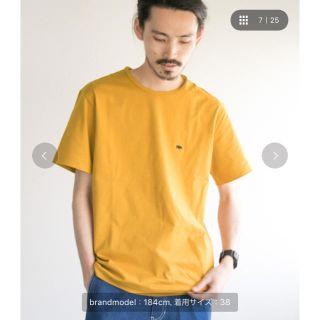 サイ(Scye)のどぅーえ様専用(Tシャツ/カットソー(半袖/袖なし))