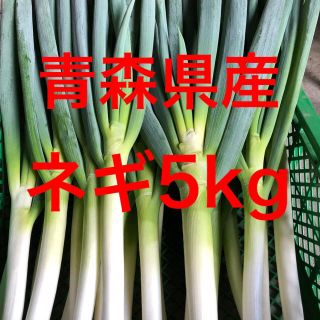 青森県産土付きネギ【白ネギ】5kg(野菜)