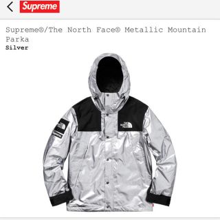 シュプリーム(Supreme)のsupreme the north face mountain parka m(マウンテンパーカー)