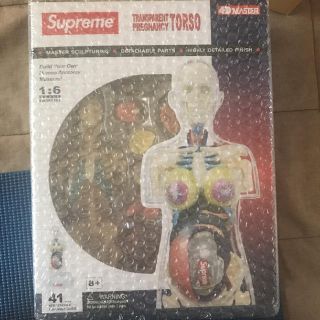 シュプリーム(Supreme)のsupreme female anatomy model(模型/プラモデル)