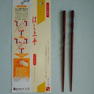 《お値下げ》矯正箸　はし上手　右きき用　大人用(カトラリー/箸)