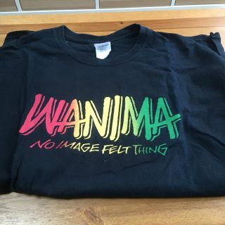 ワニマ(WANIMA)のWANIMA Ｔシャツ Lサイズ(Tシャツ/カットソー(半袖/袖なし))