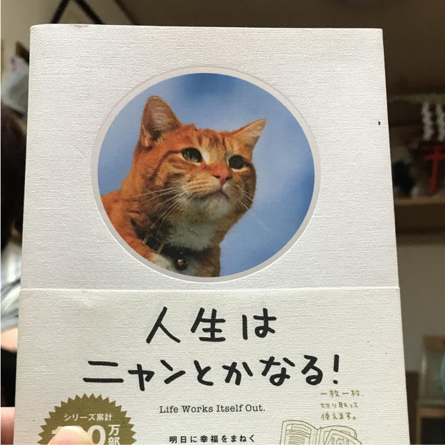 「人生はニャンとかなる! 明日に幸福をまねく68の方法」  エンタメ/ホビーの本(趣味/スポーツ/実用)の商品写真